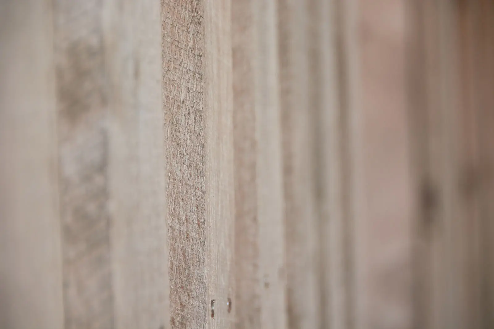 referenz-holzbau-01_01947429-r1-s